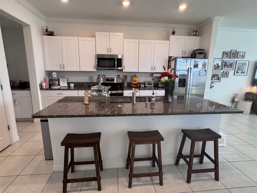 31779 Blue Passing Loop Wesley Chapel FL 33545 TB8457342 image5