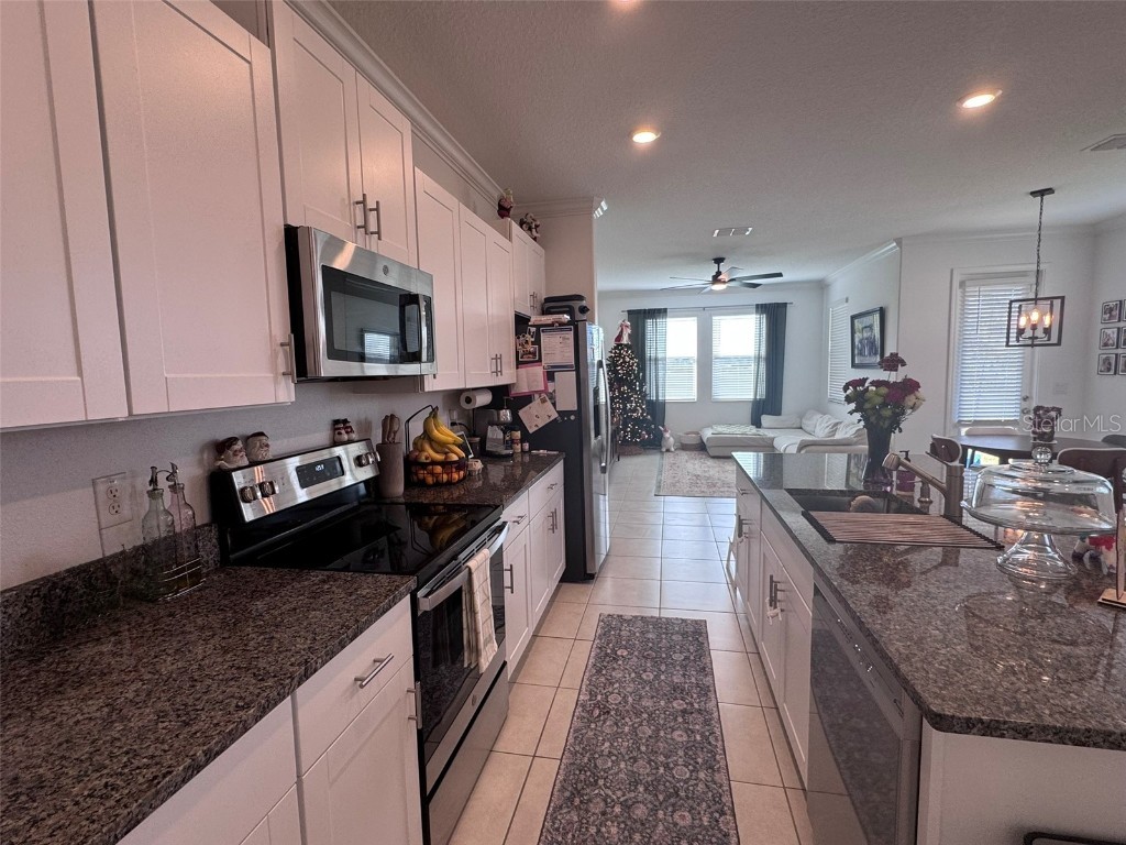 31779 Blue Passing Loop Wesley Chapel FL 33545 TB8457342 image7