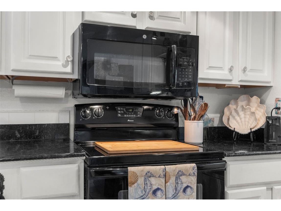 3178 Sea Grape Drive Hernando Beach FL 34607 W7868361 image15