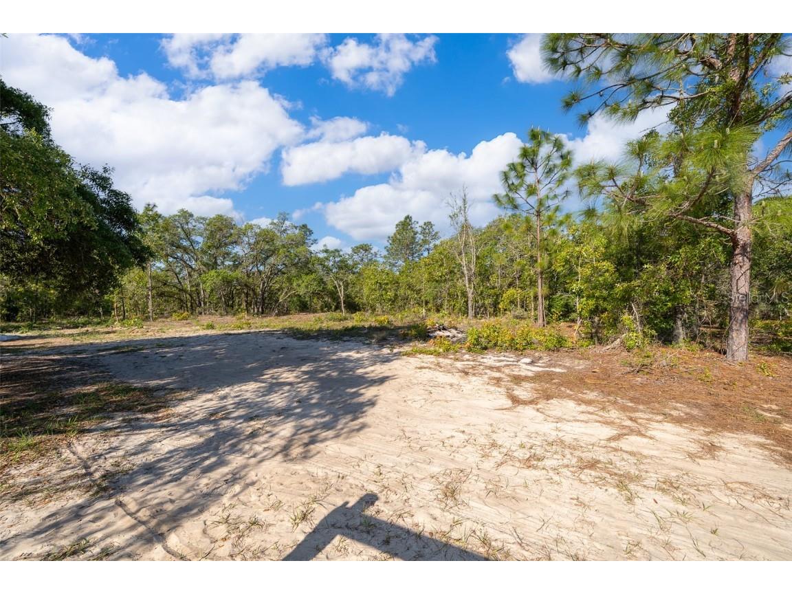 3178 W Deltona Boulevard Dunnellon FL 34433 S5127246 image30