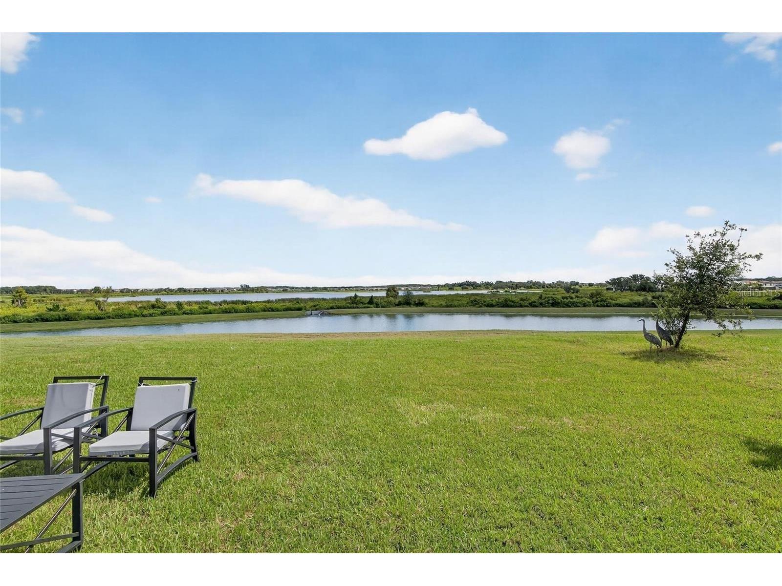 31783 Sun Kettle Loop Wesley Chapel FL 33545 TB8471153 image10