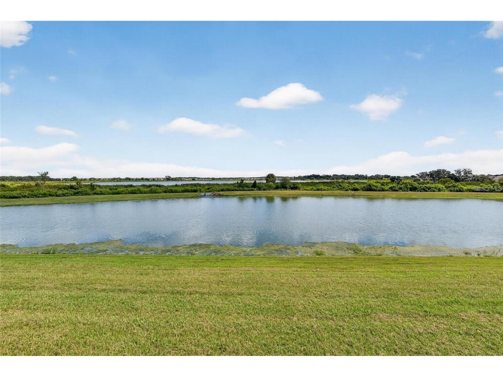 31783 Sun Kettle Loop Wesley Chapel FL 33545 TB8471153 image11