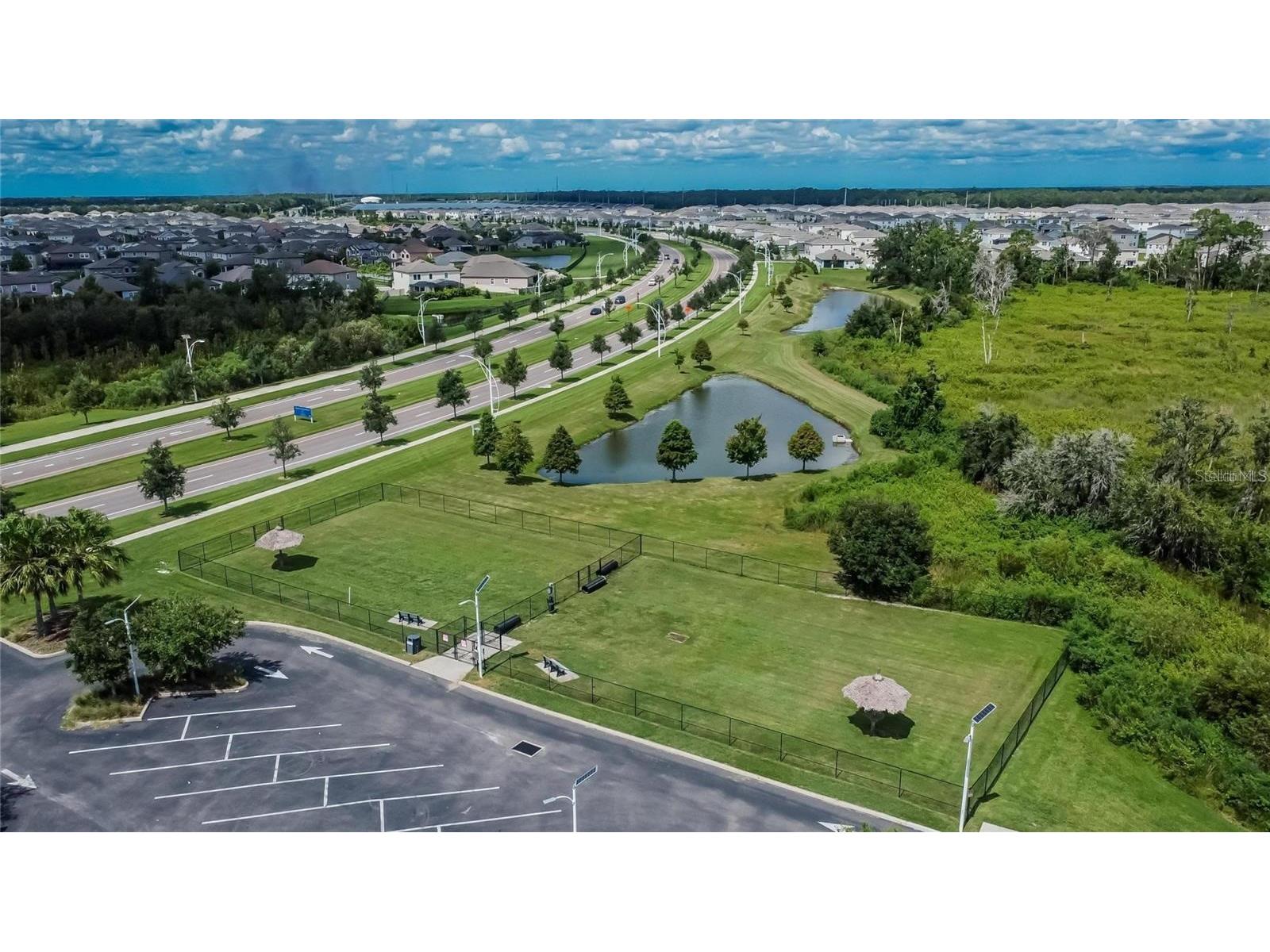 31783 Sun Kettle Loop Wesley Chapel FL 33545 TB8471153 image13