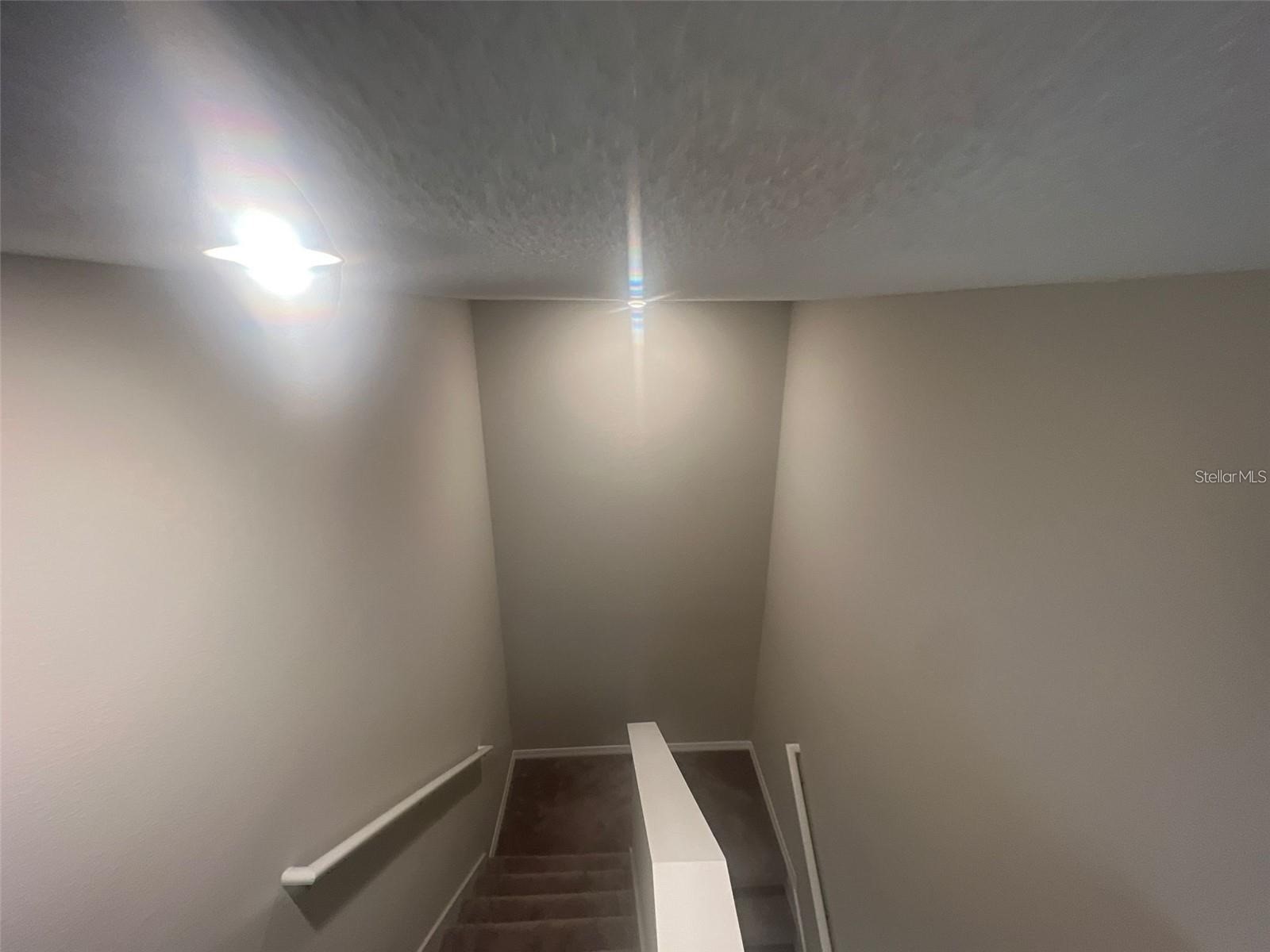 31783 Sun Kettle Loop Wesley Chapel FL 33545 TB8471153 image8