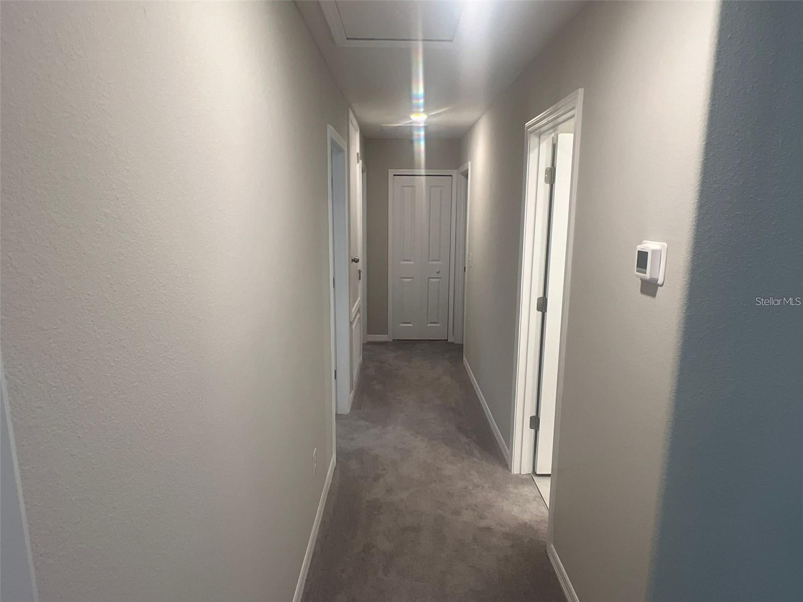 31783 Sun Kettle Loop Wesley Chapel FL 33545 TB8471153 image9