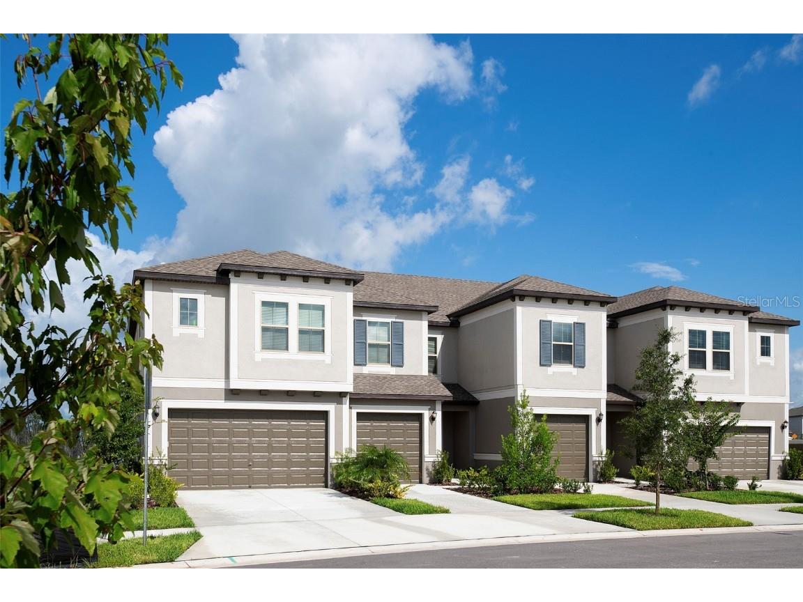 31787 Blue Passing Loop Wesley Chapel FL 33545 T3423448 image1