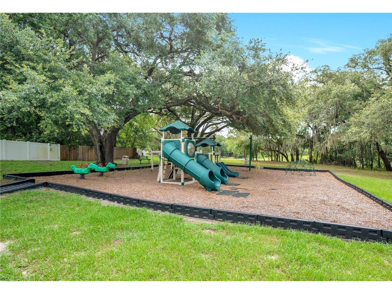 3179 Foxwood Dr Apopka FL 32703 O6422597 image64