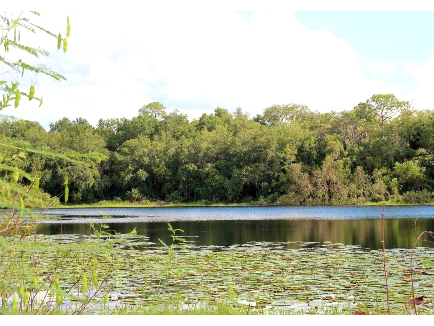 3179 Foxwood Dr Apopka FL 32703 O6422597 image65