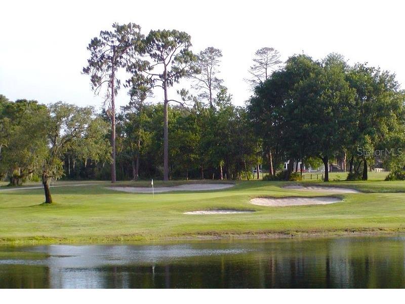 3179 Foxwood Dr Apopka FL 32703 O6422597 image66