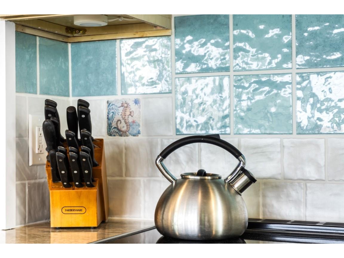 3179 Sea Grape Drive Hernando Beach FL 34607 S5134654 image20