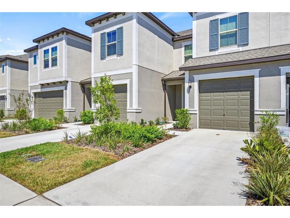 31791 Blue Passing Loop Wesley Chapel FL 33545 T3456464 image1