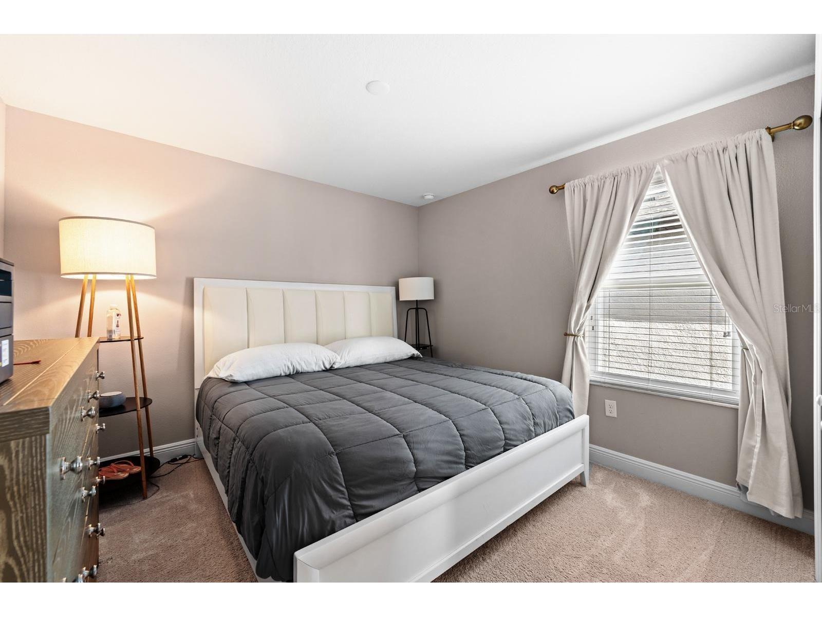 31795 Asbury Avenue Wesley Chapel FL 33545 TB8476439 image14