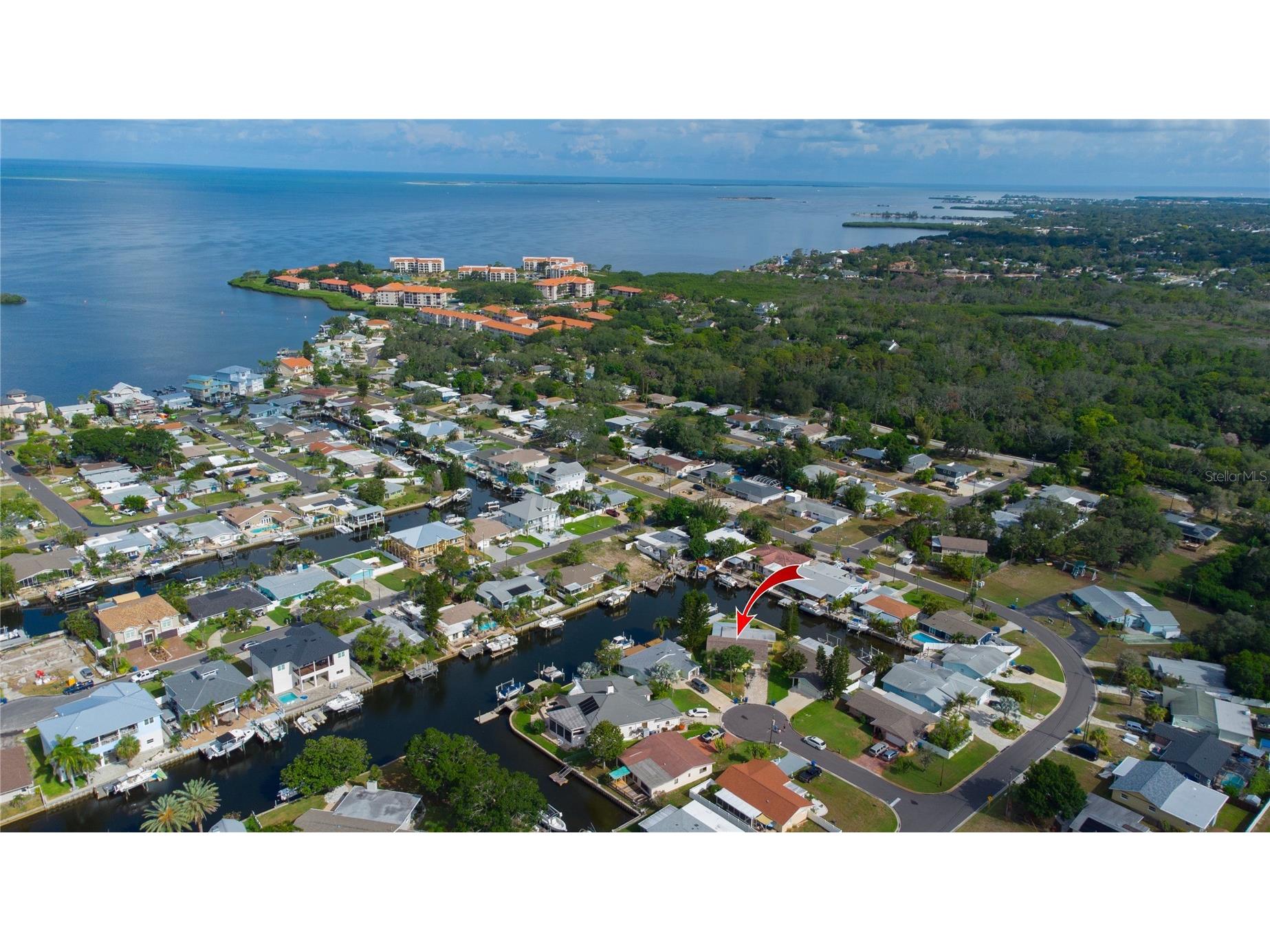 318 Circle Drive Palm Harbor FL 34683 TB8527358 image1