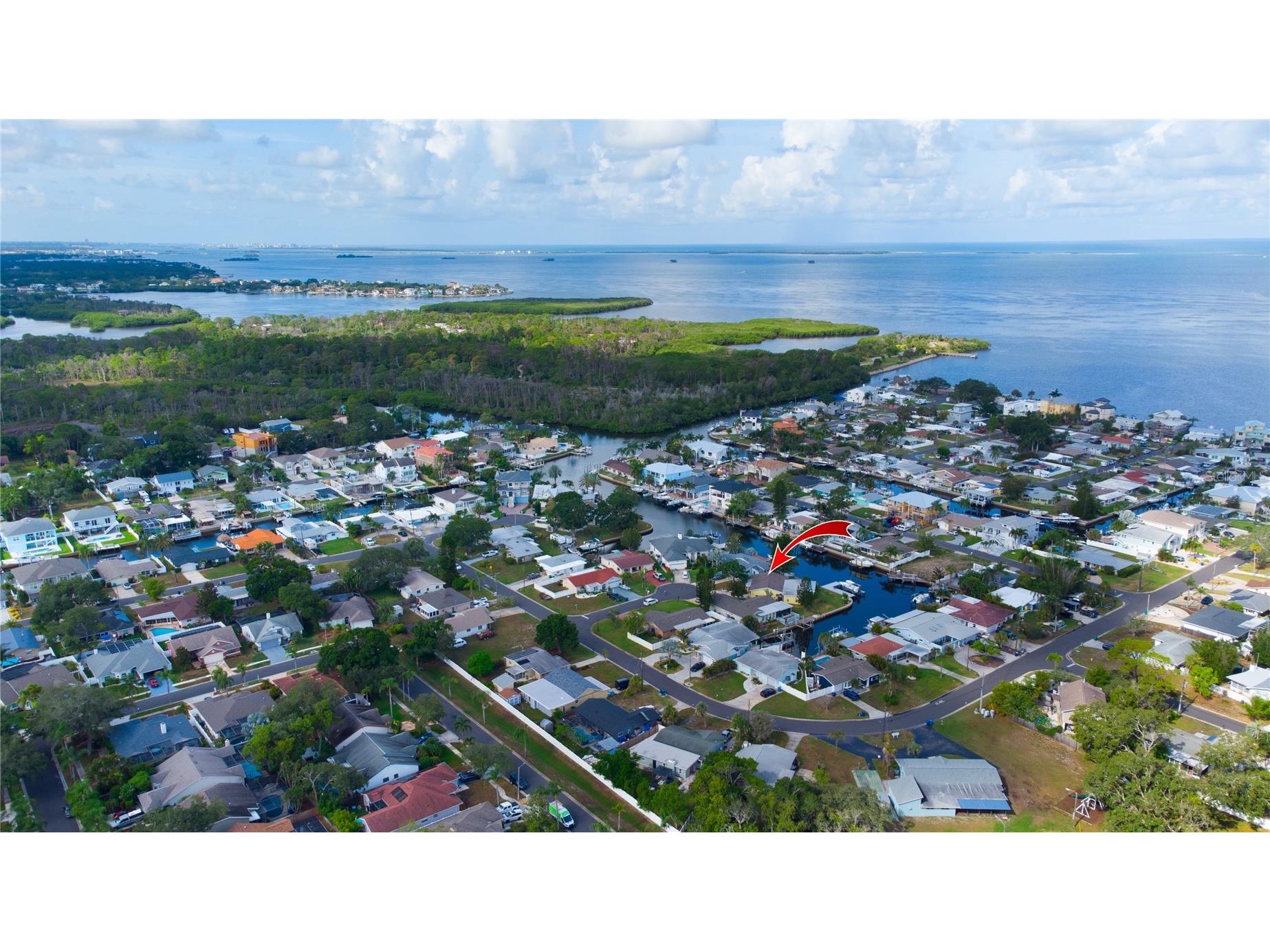 318 Circle Drive Palm Harbor FL 34683 TB8527358 image11