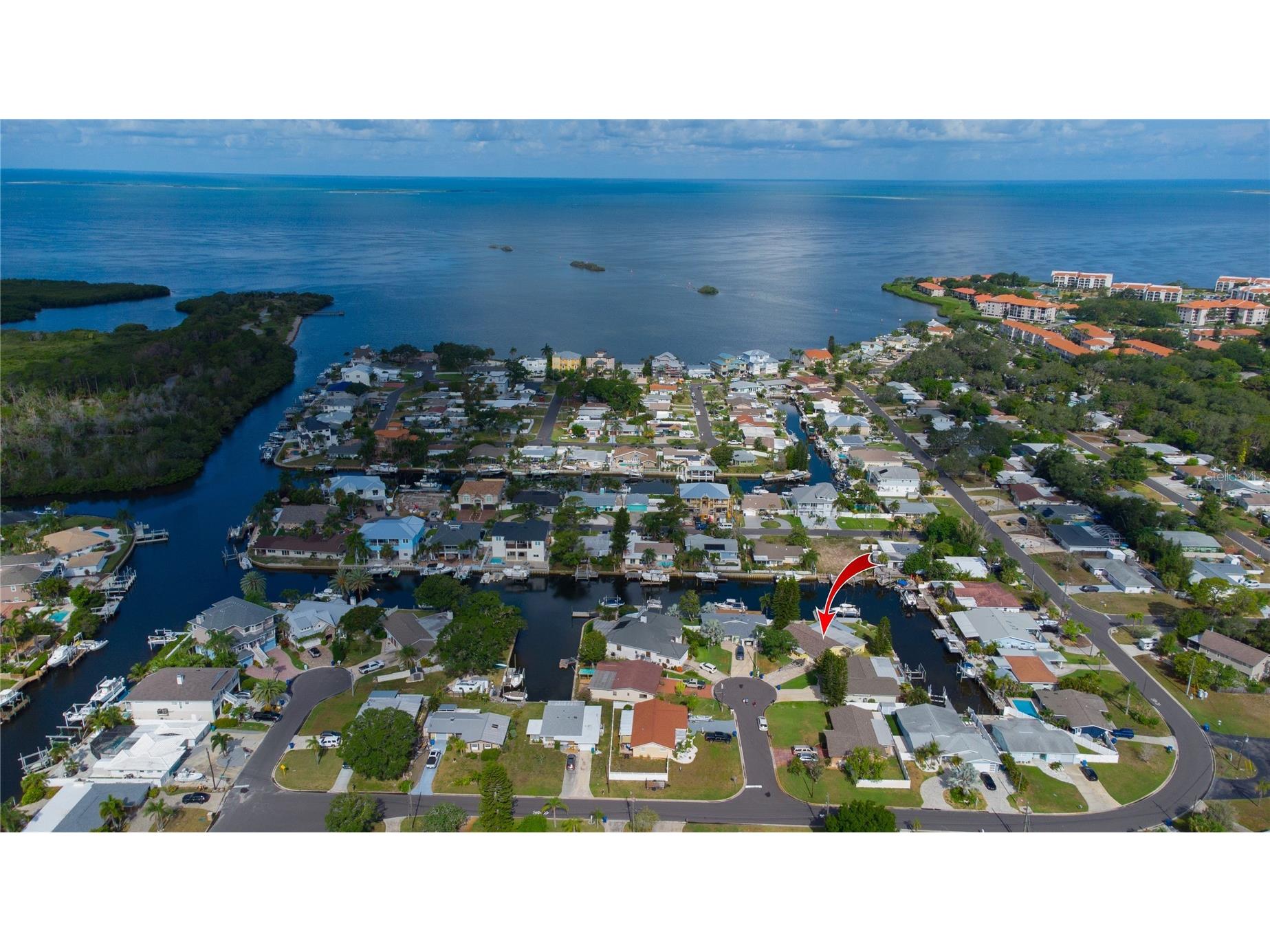 318 Circle Drive Palm Harbor FL 34683 TB8527358 image12