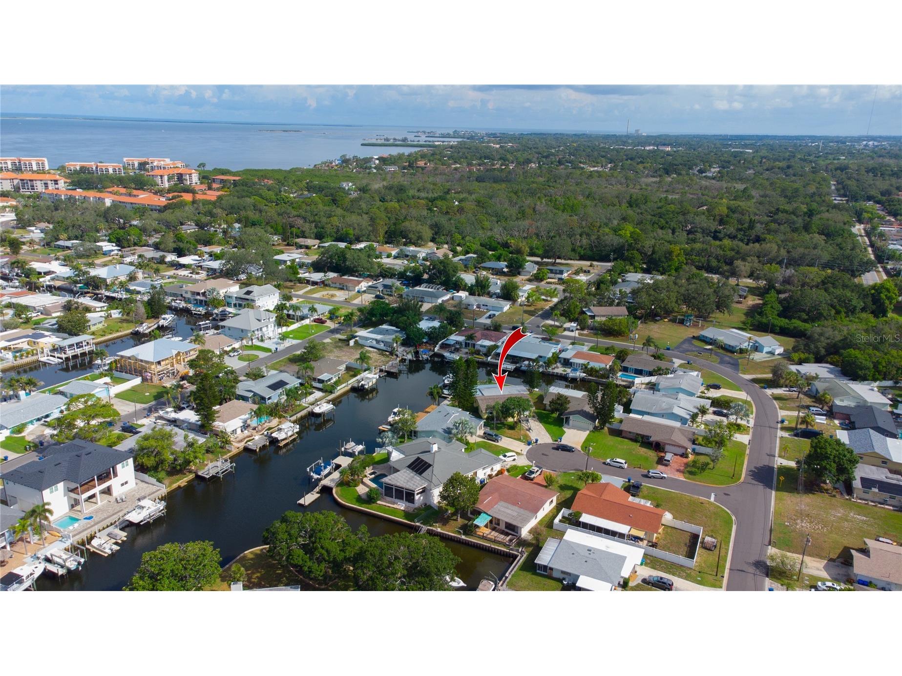 318 Circle Drive Palm Harbor FL 34683 TB8527358 image13