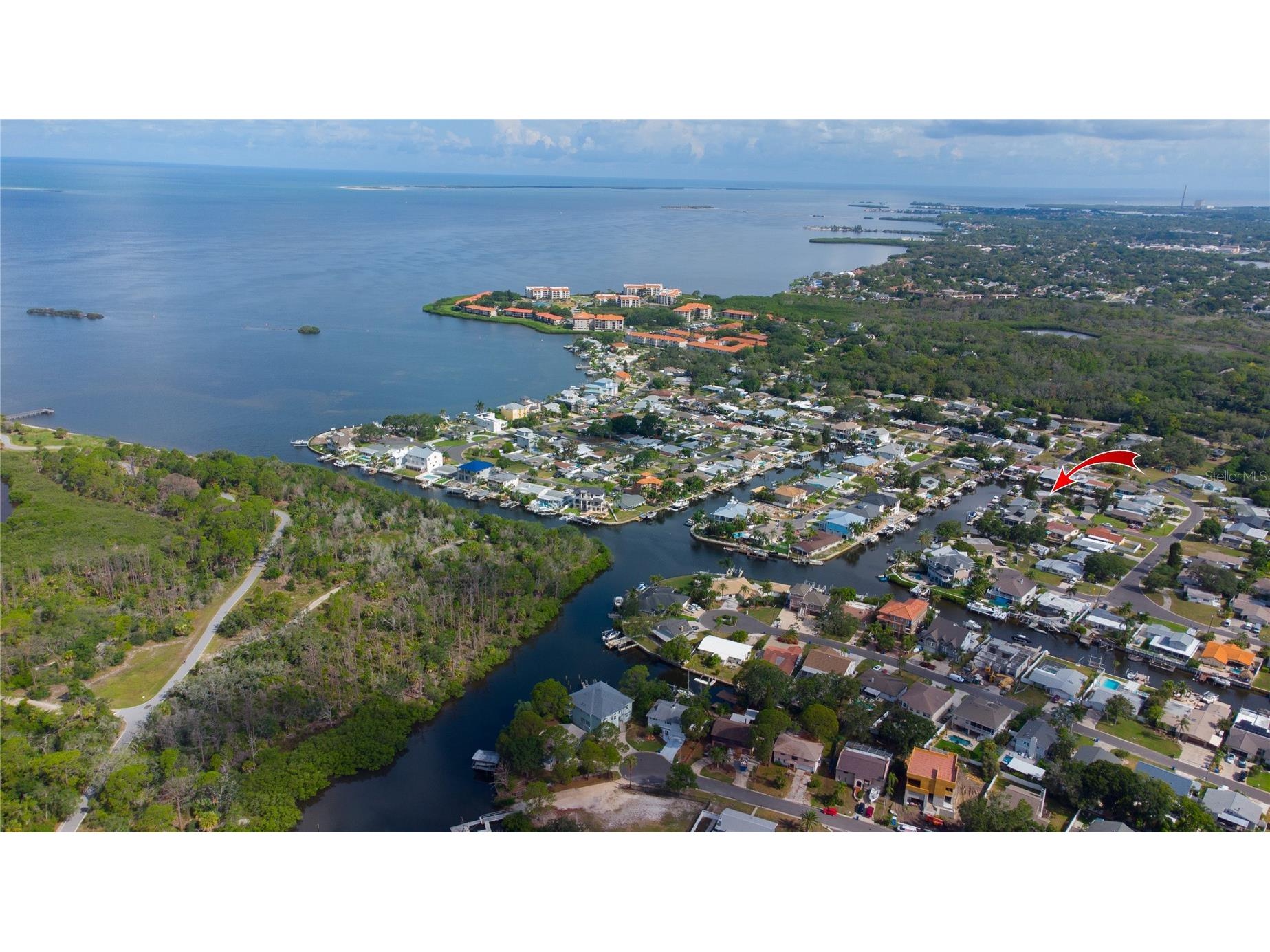 318 Circle Drive Palm Harbor FL 34683 TB8527358 image14