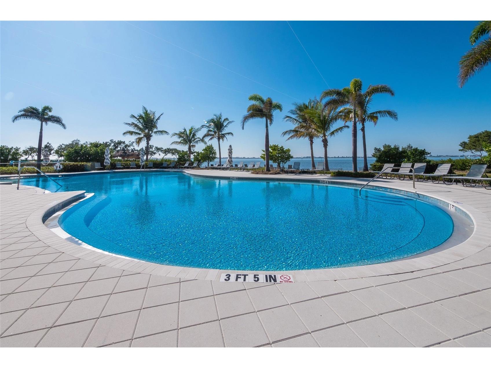 318 Compass Point Drive #202 Bradenton FL 34209 A4688460 image66