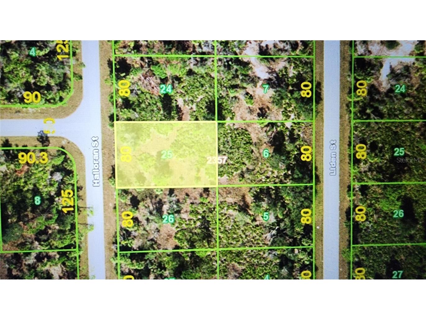 318 Halloran Street Port Charlotte FL 33953 D6135685 image2