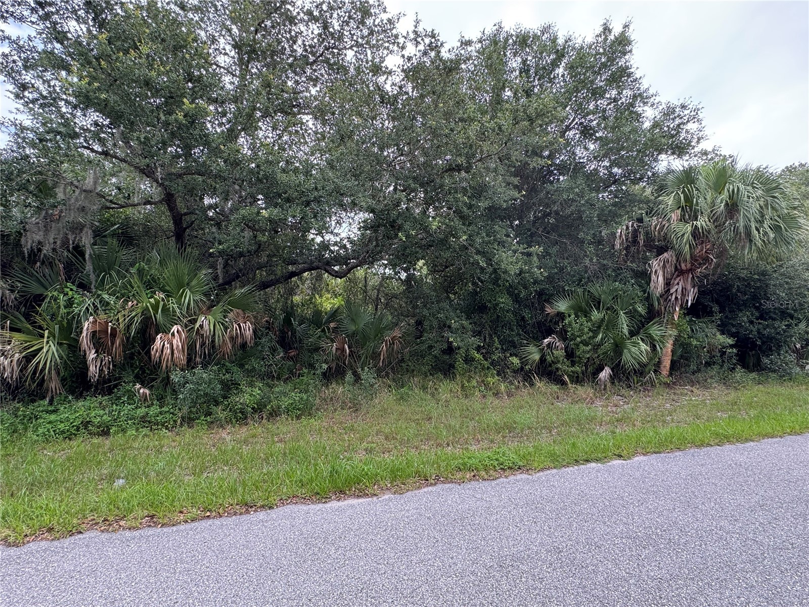 318 Leona Street Port Charlotte FL 33954 C7526868 image5