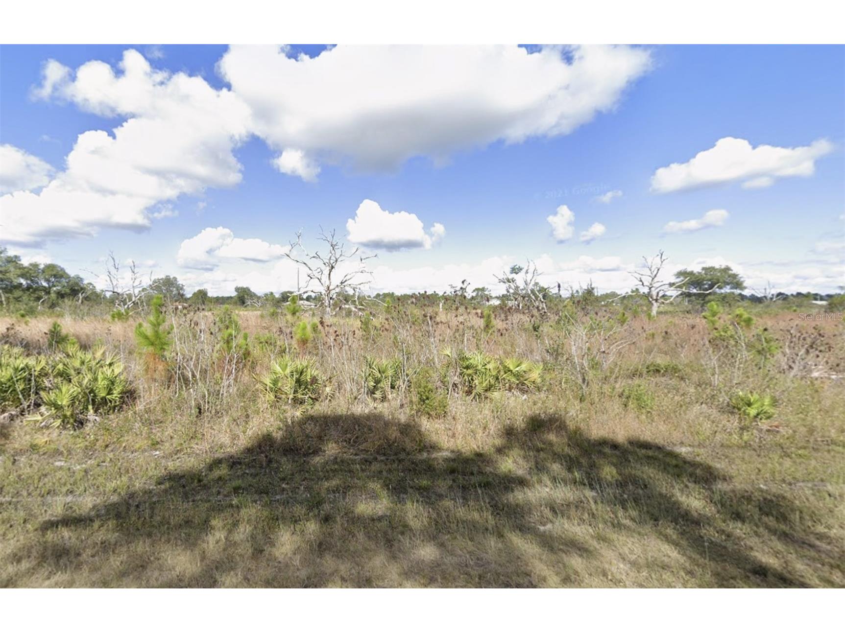 318 Orchid Drive Indian Lake Estates FL 33855 TB8488732 image3