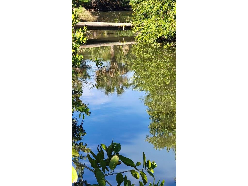 318 Palm Avenue Oak Hill FL 32759 NS1084156 image11