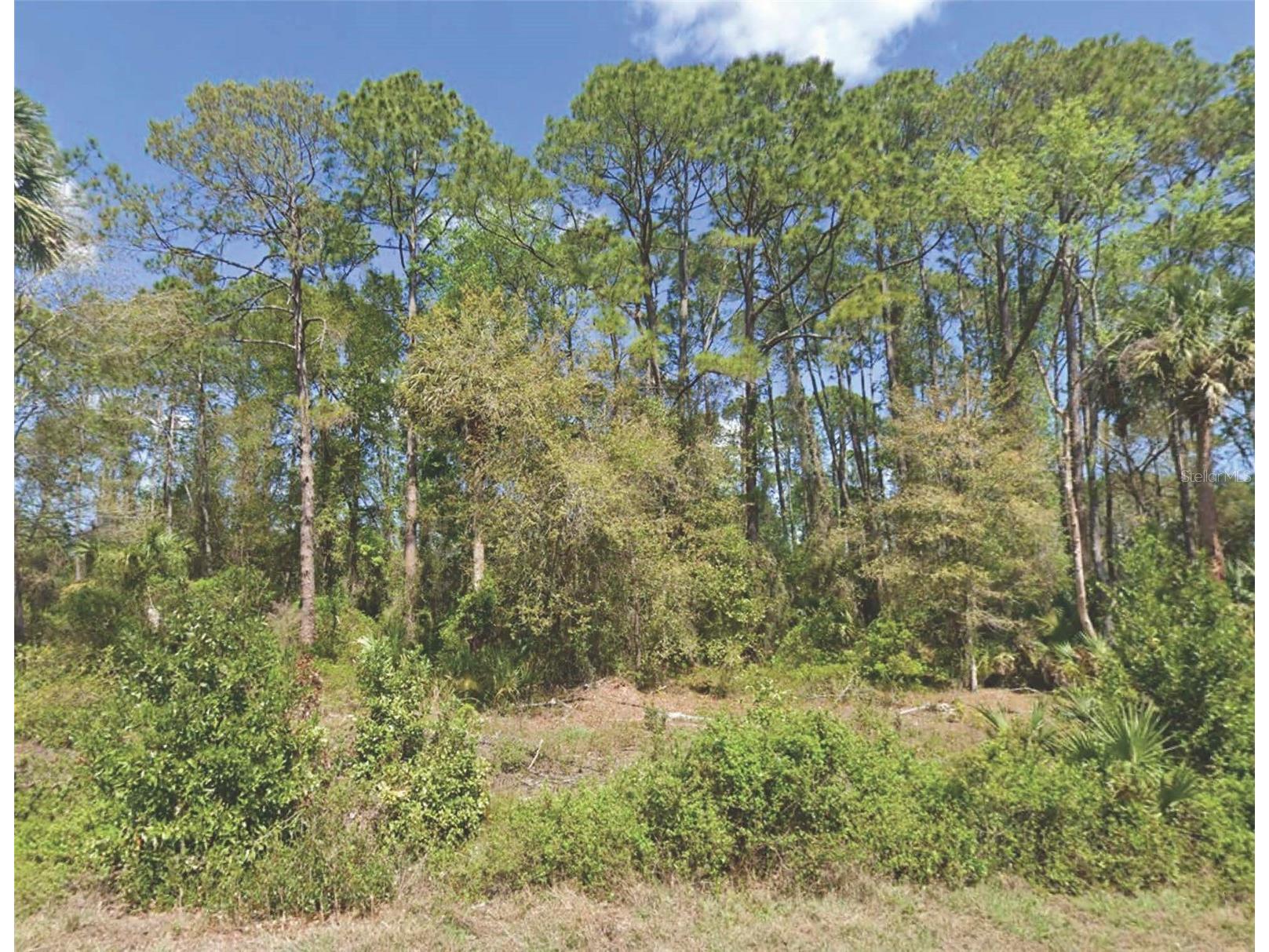 318 Redwood Boulevard Georgetown FL 32139 O6378887 image1