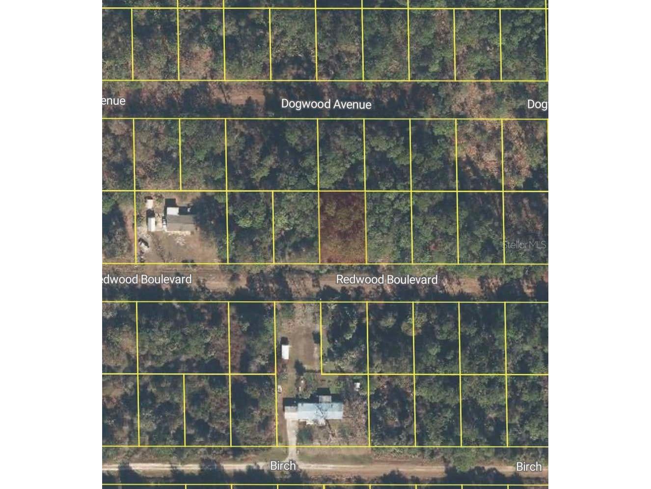 318 Redwood Boulevard Georgetown FL 32139 O6378887 image2
