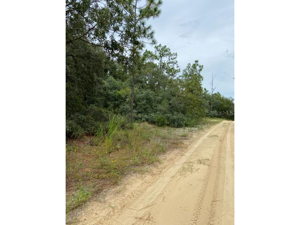 318 S Crestview Avenue Inverness FL 34452 W7868206 image1