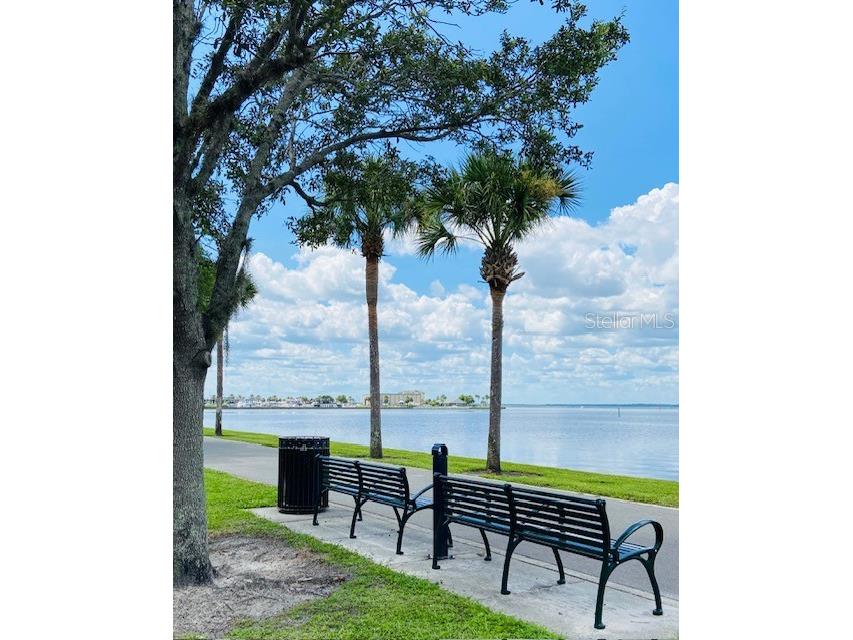 318 S Palmetto Avenue Sanford FL 32771 O6245237 image45