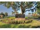 318 Valley Drive Longwood FL 32779 - LAKE BRANTLEY & WEKIVA RIVER O6401622 image54