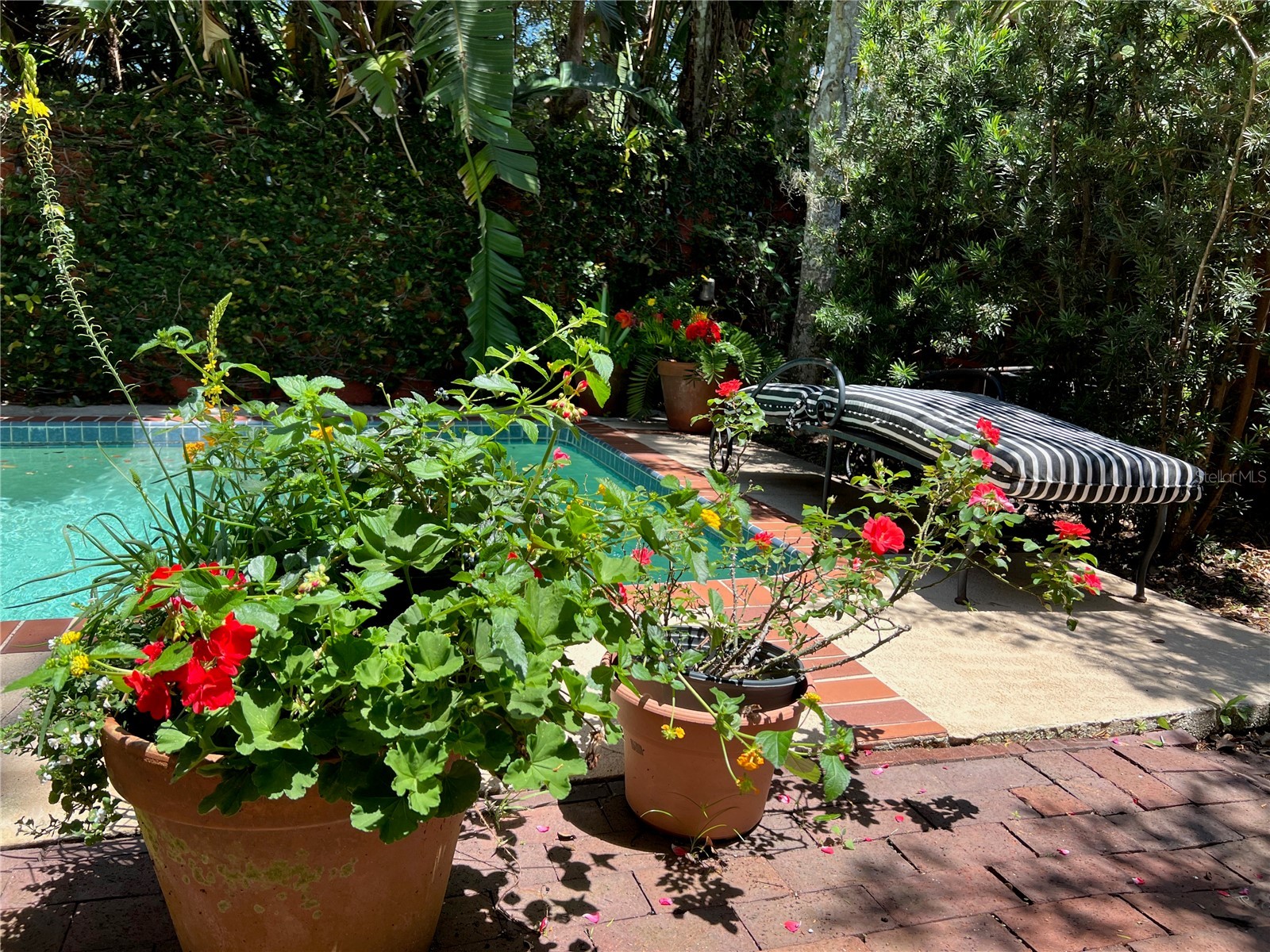 318 Vitoria Avenue Winter Park FL 32789 - LAKE VIRGINIA O6388489 image6