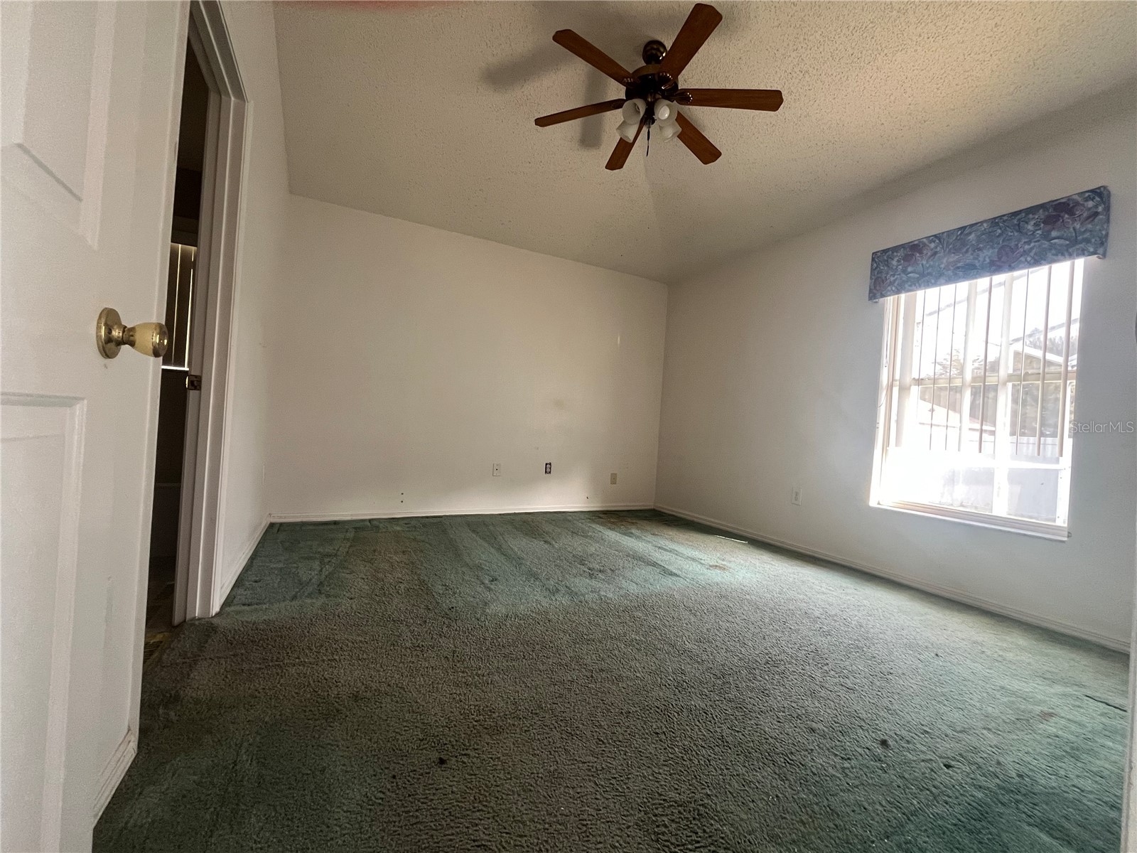 318 Walpole Loop Davenport FL 33897 O6393456 image17