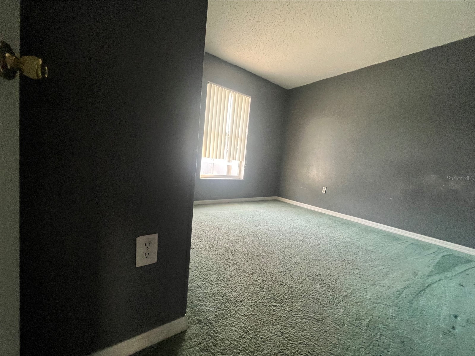 318 Walpole Loop Davenport FL 33897 O6393456 image20