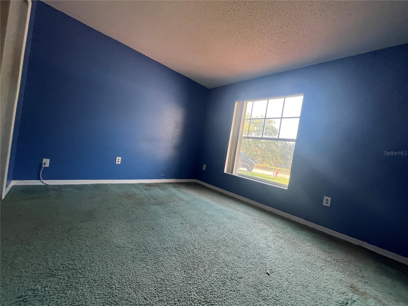 318 Walpole Loop Davenport FL 33897 O6393456 image21