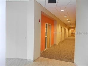 3180 Curlew Road #107 Oldsmar FL 34677 TB8462503 image13