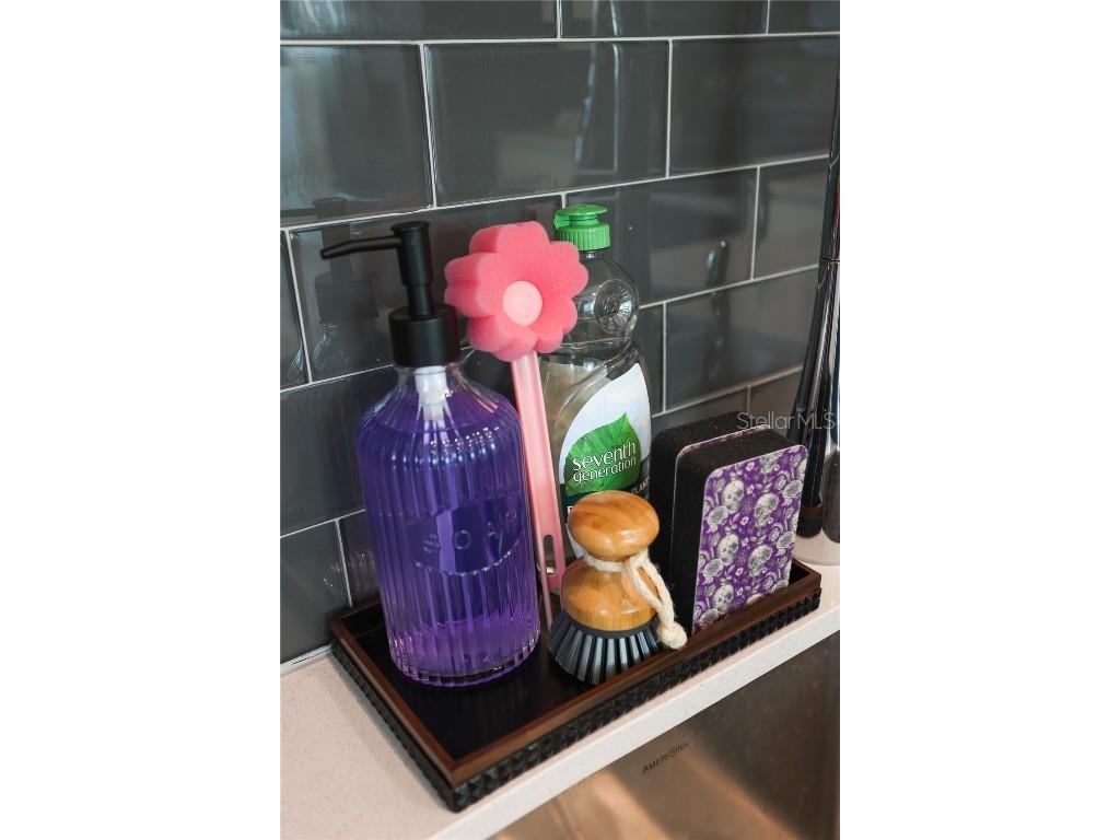 3180 Paradox Circle #106 Kissimmee FL 34746 G5104265 image20