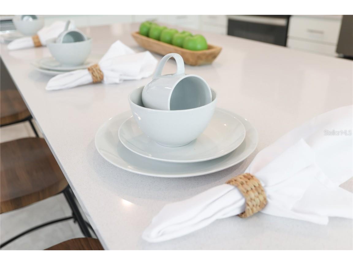 3180 Paradox Circle #106 Kissimmee FL 34746 G5104265 image21