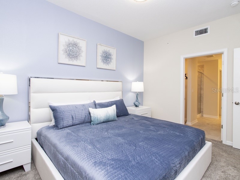 3180 Paradox Circle #203 Kissimmee FL 34746 O6187509 image11