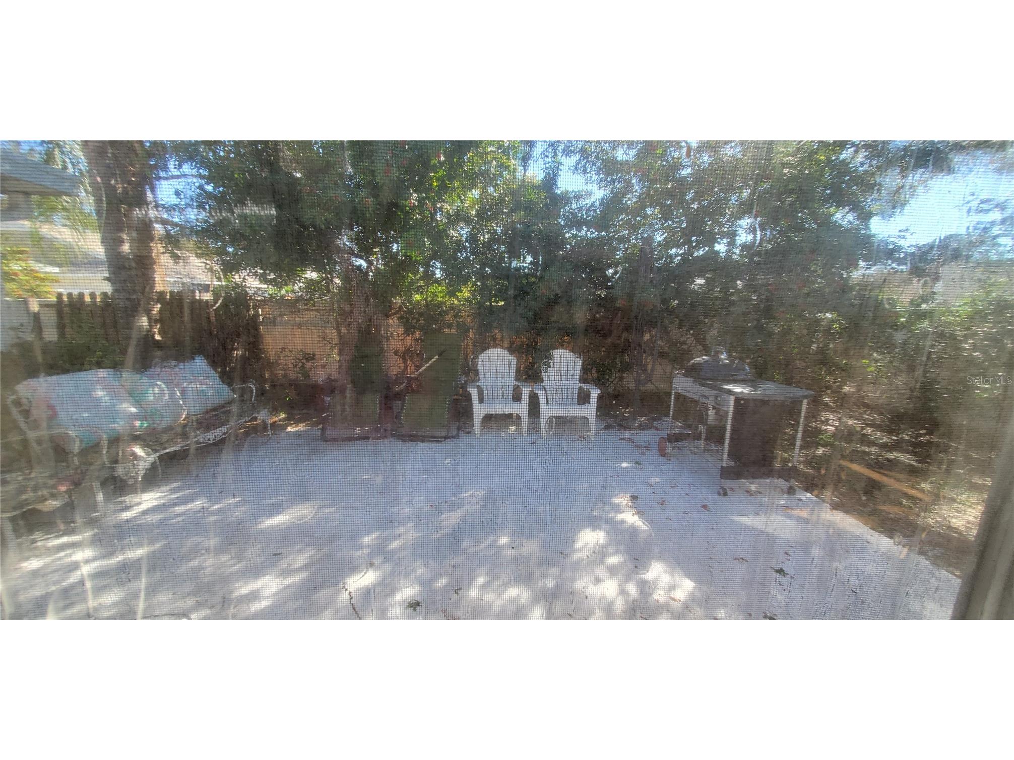 3180 Phlox Drive Palm Harbor FL 34684 A4681645 image19