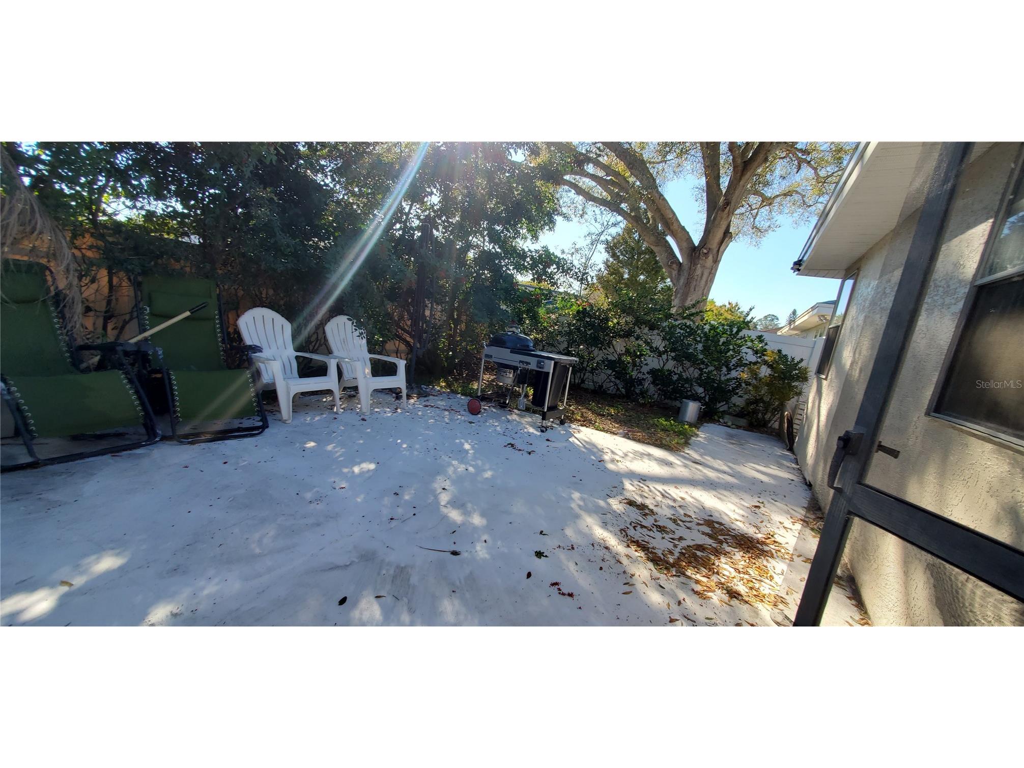 3180 Phlox Drive Palm Harbor FL 34684 A4681645 image21