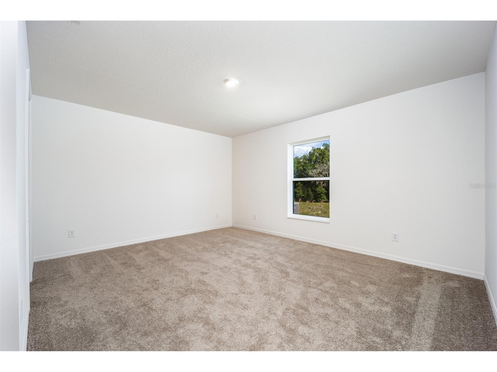 3180 Seville Street Lake Alfred FL 33850 - GUM LAKE TB8496356 image10