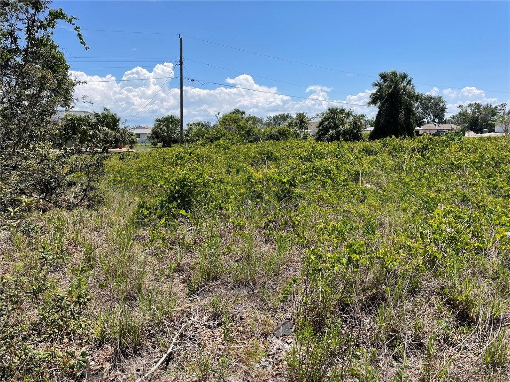 3180 Sulstone Drive Punta Gorda FL 33983 A4568249 image1