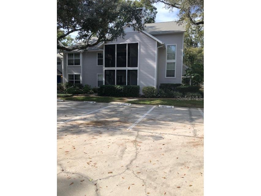 3180 Valley Oaks Drive #3180 Tampa FL 33618 T3489834 image1