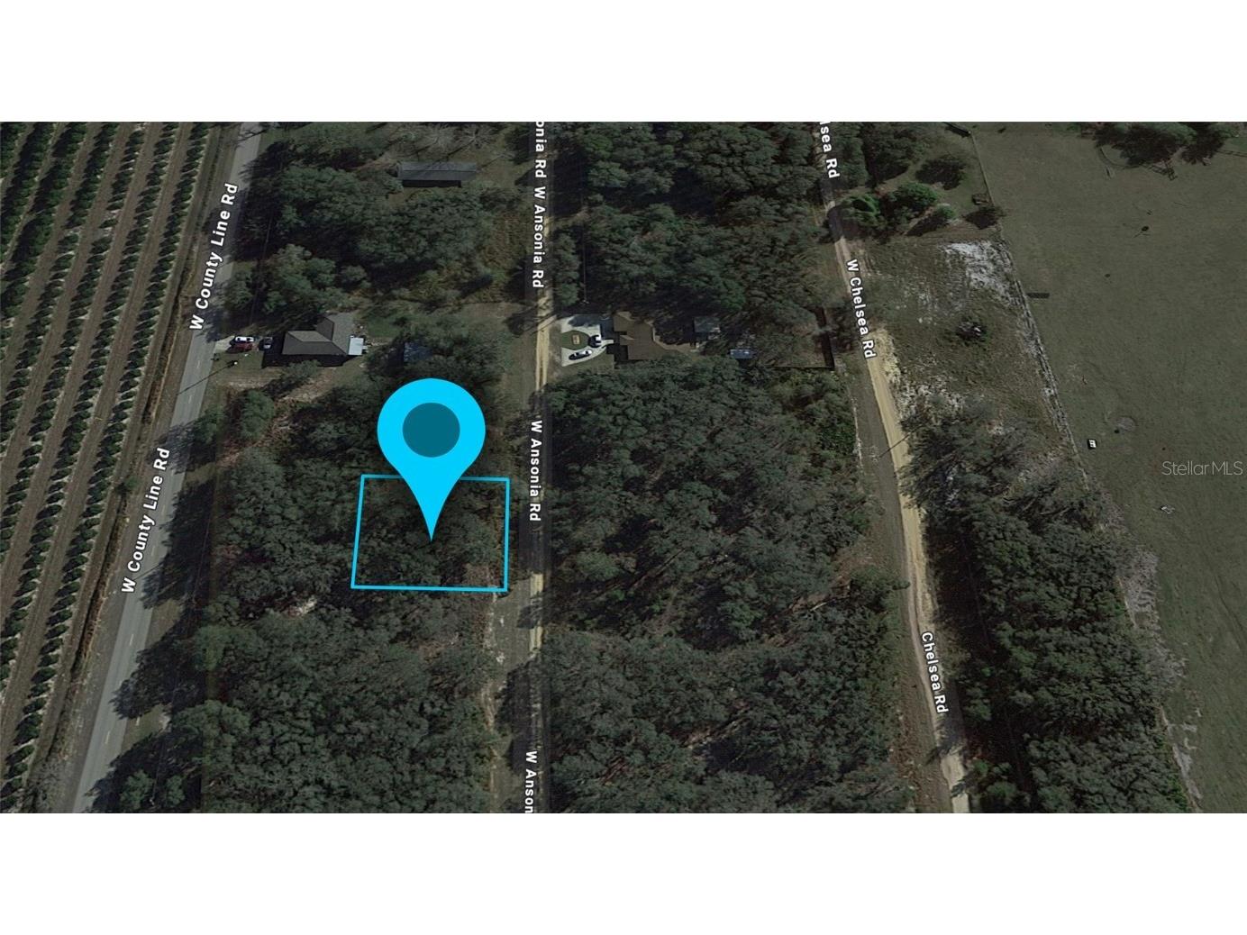 3180 W Ansonia Road Avon Park FL 33825 G5080664 image2