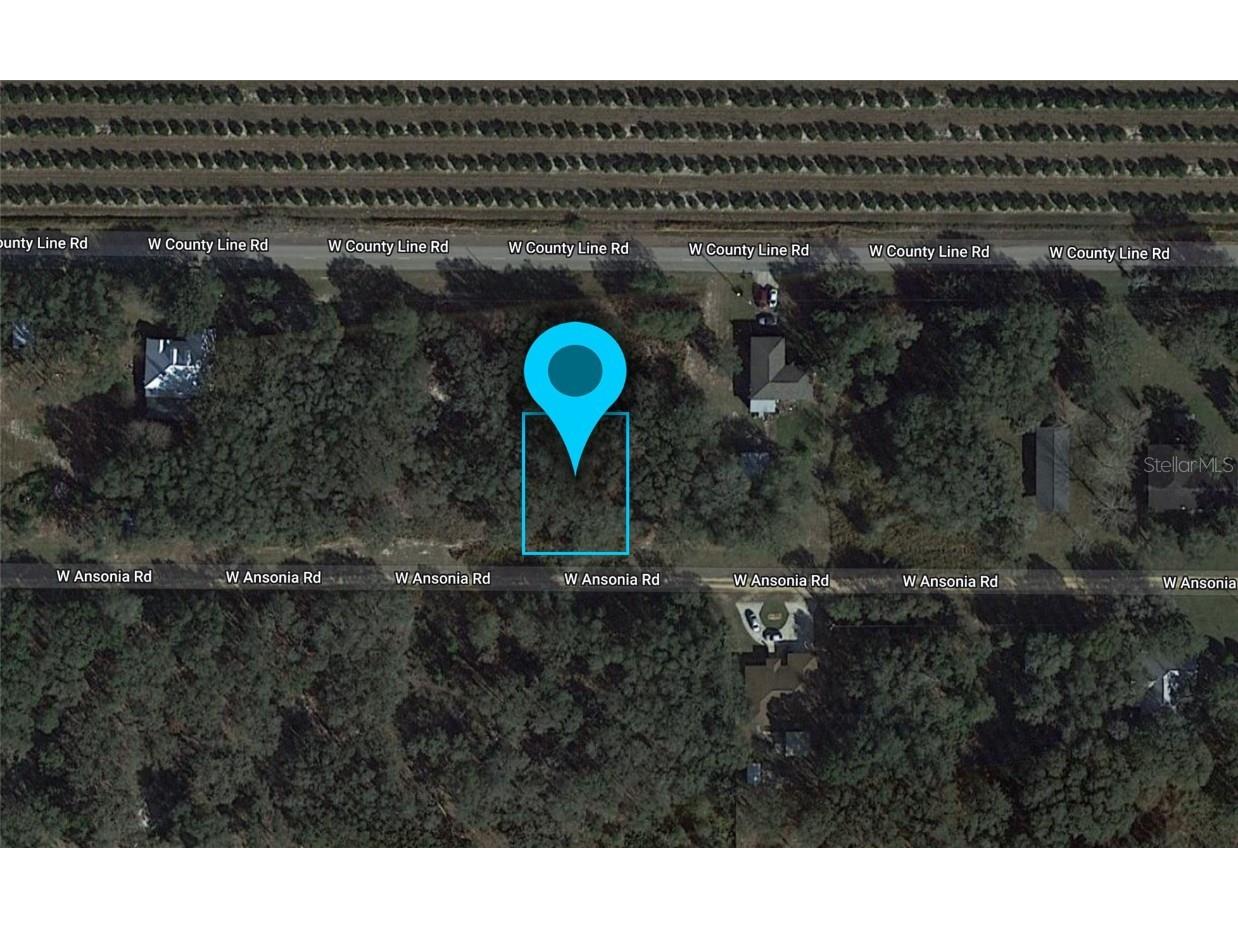 3180 W Ansonia Road Avon Park FL 33825 G5101200 image2