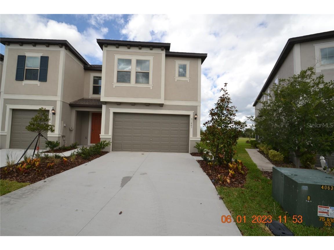 31803 Blue Passing Loop Wesley Chapel FL 33545 T3450236 image1