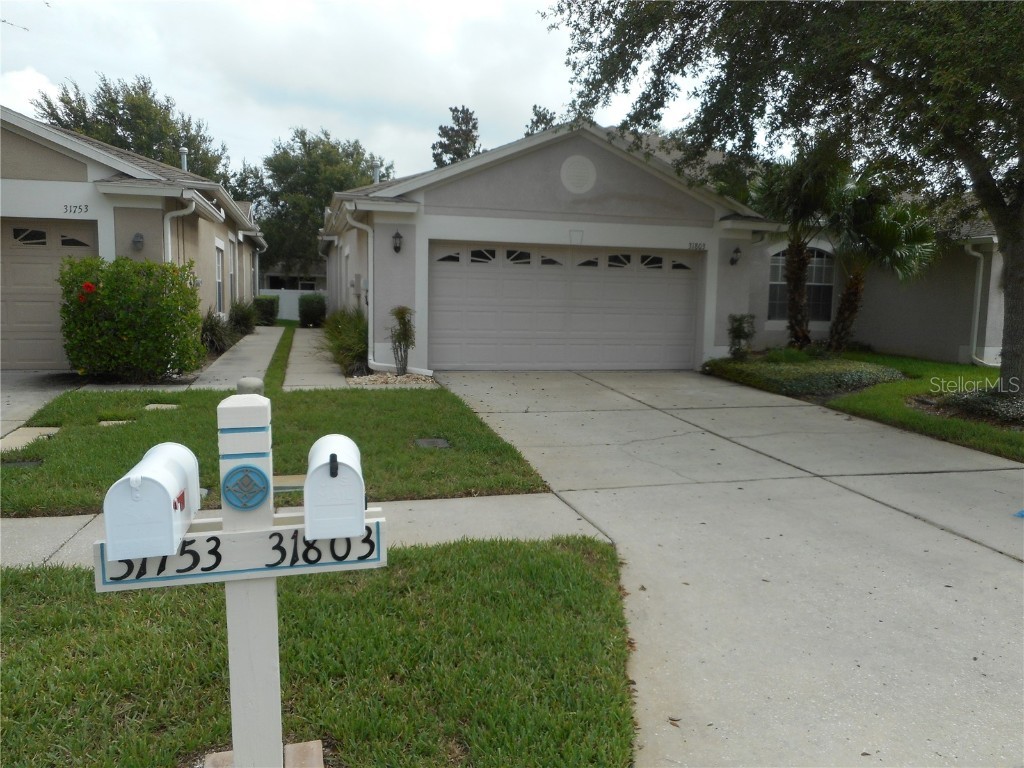 31803 Blythewood Way Wesley Chapel FL 33543 T3488406 image1