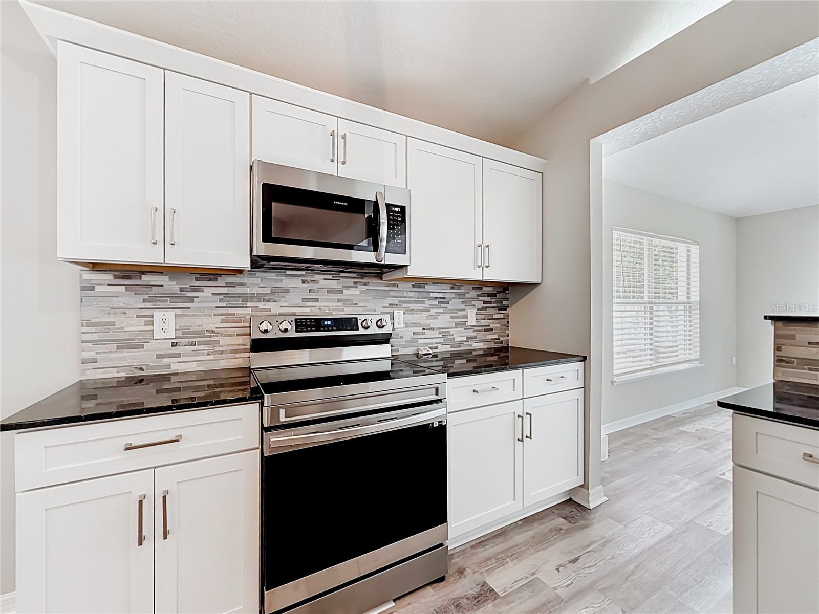 31806 Parkdale Drive Leesburg FL 34748 TB8520395 image13