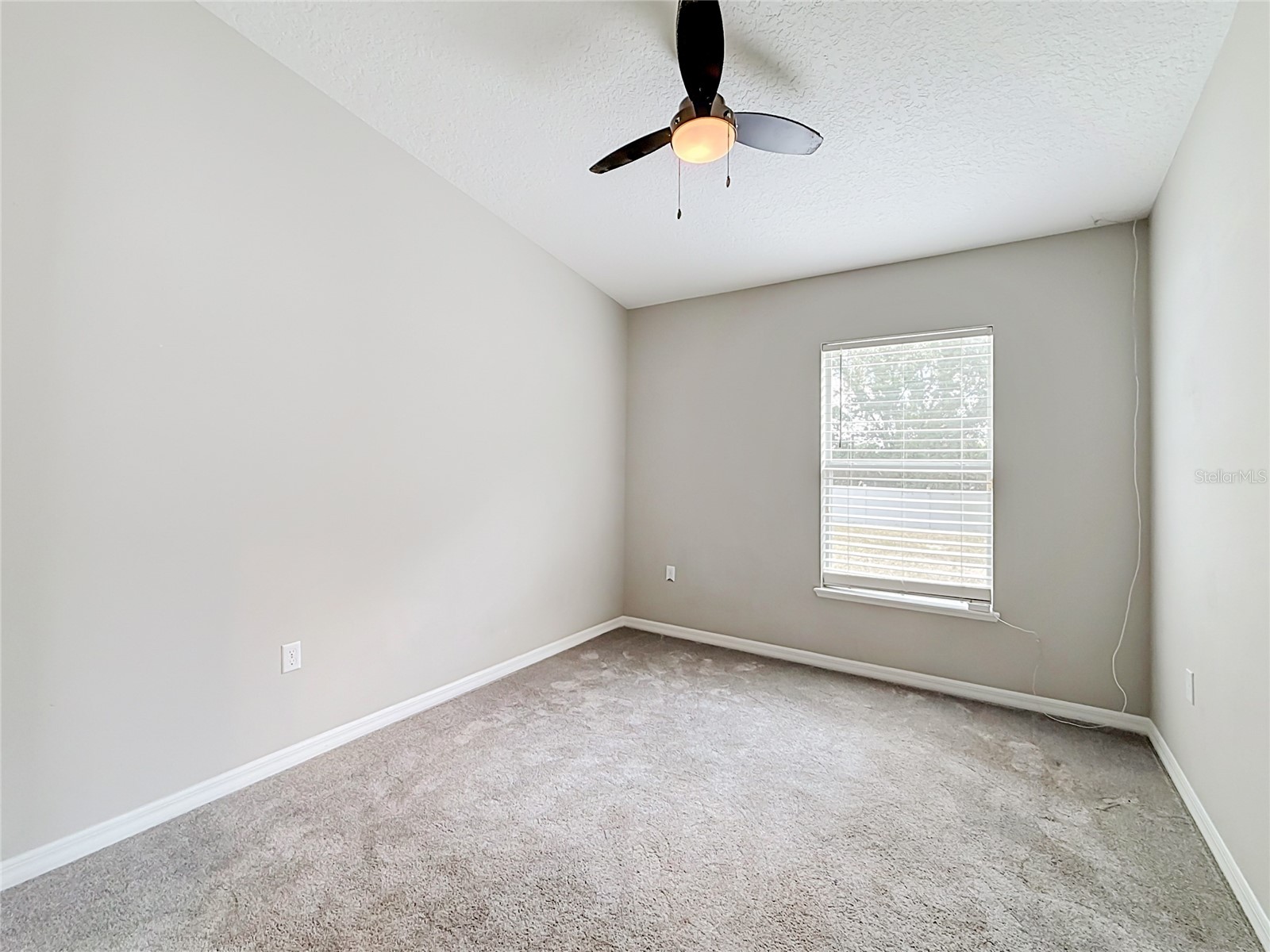 31806 Parkdale Drive Leesburg FL 34748 TB8520395 image20
